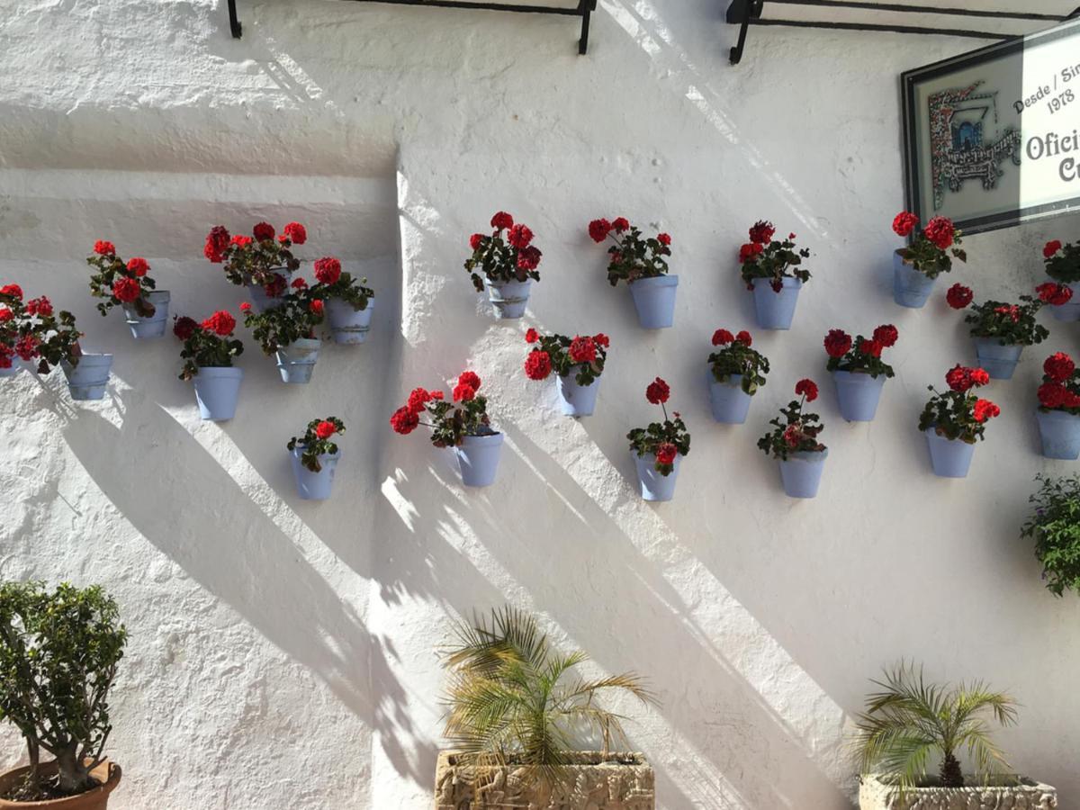 Appartamento LUXURY DREAM - Torremolinos Esterno foto